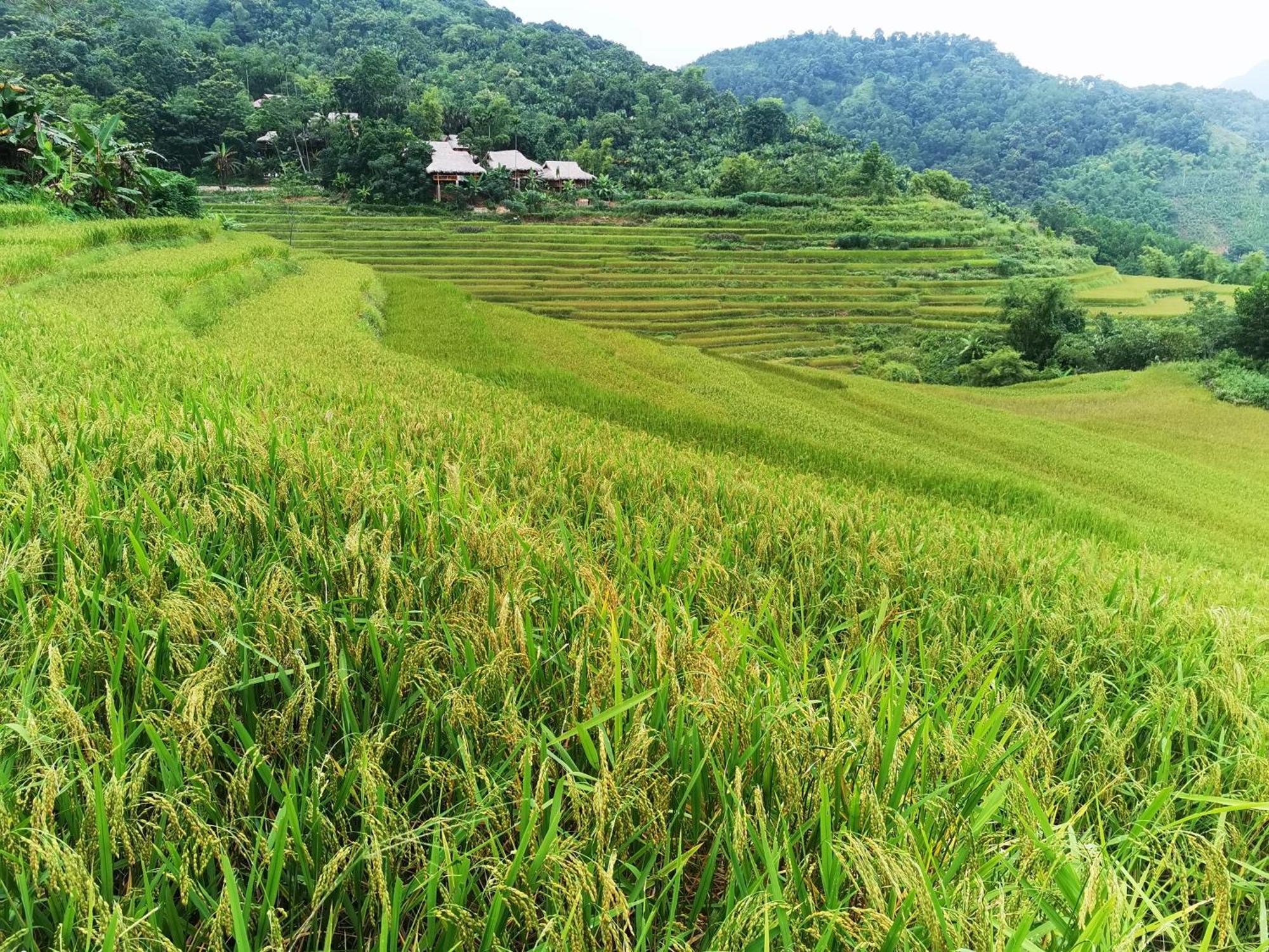 Pu Luong Natura Zimmer foto